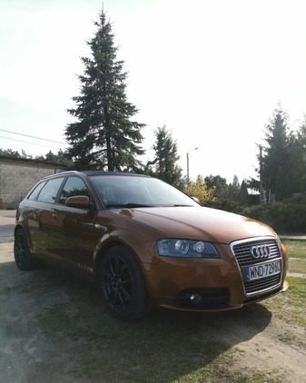 Audi A3 cena 23000 przebieg: 238000, rok produkcji 2005 z Miastko małe 92